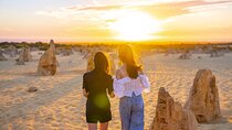 Pinnacles Desert Lobster Tour from Perth