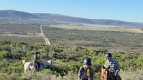 West Coast farm and nature ride