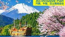 Mt. Fuji 5th Station, Owakudani Ropeway, Pirate Ship plus Outlet shopping! 