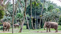 Bali: Private Tour to Tegalalang, Temple & Rafting Adventure