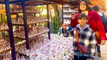 Tokyo: Gotokuji Lucky Cat Temple, Shinjuku Cat Cafe, 3D Giant Cat