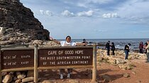 Half Day Penguins and Cape Point Small Group Tour