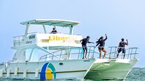 Punta Cana Private Catamaran with Snorkeling & Natural Pool