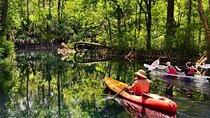 1-Day Silver Springs State Park Small Group Tour from Orlando