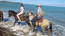 Aventure on horseback the route from Playa Río y Campo