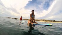 Fun Surf Lessons & Tacos