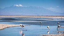 Red Stones and High Plains Tour from San Pedro