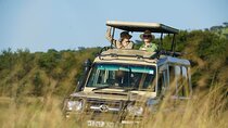 4 Days Masai Cultural Experience Northern Tanzania 