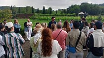Chianti Half Day Wine Tasting Tour from Siena