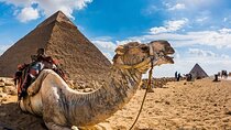 Layover Guided Tour To Giza Pyramids
