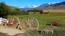 From Buenos Aires: Guided Private Day Trip to an Estancia