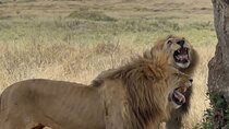 Dar es Salaam 3 Day Private Scenic Safari Tour