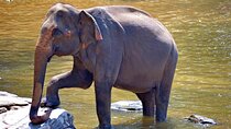Taj mahal with Elephant Rescue Center & Birding at Bharatpur 