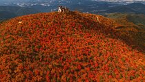 Balwangsan Cable Car Tour: Forest Trails & Scenic Highland Views