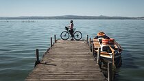 Valencia: Road to La Albufera Private Bike Tour