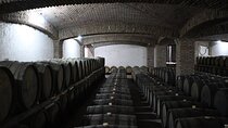 Tbilisi Day Trip to Sighnaghi, Bodbe Monastery and Wine Tasting