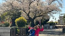 Historic Temple・traditional Japanese garden＆ Eating around at a shopping strip