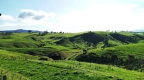 12 Day New Zealand Private Tour from Auckland to Stewart Island