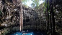 Private Instagram Cenotes Tour with Professional Photography