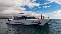Sunset Cocktail Cruise from Kawaihae Harbor