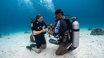 Beach Diving Activity in Oman