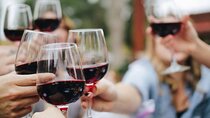 Bordeaux and Saint Émilion Wine Half Day Tour with Tastings