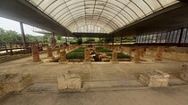 Conimbriga Private Walking Museum Tour