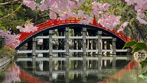 Legends of Sumiyoshi Taisha Shrine with Japanese Drink in Osaka