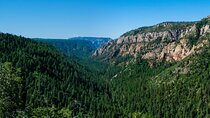 From Phoenix Private Grand Canyon Sedona Oak Creek Canyon Tour