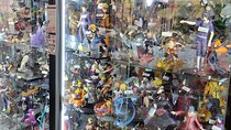 Akihabara Insider Tour with Professional Photos