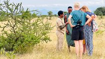 Lake Manyara Maasai Tribe Visit