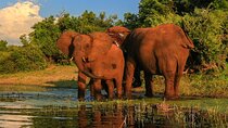 10 Days Overland Tour from Cape Town to Johannesburg