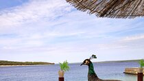 NP Brijuni Island Swimming & Dolphin Watching Sunset Cruise
