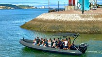 Dolphins in the Tejo