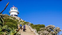 Cape Town Penguins and Cape of Good Hope Sunset Tour 