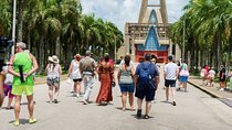 City Tour & Half-Day Safari Experiences