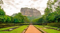 Sigiriya Hike & Minneriya Safari Private Full Day Tour