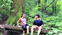 Experience Tokyoites Vacation: Hike, Sightsee, Onsen & Local Food