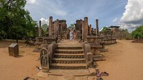 Visiting the Historical Polonnaruwa Ruins and Minneriya Safari 
