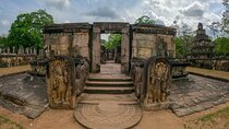 Visiting the Historical Polonnaruwa Ruins and Minneriya Safari 