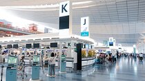 Explore Tokyo Highlights Layover Tour