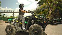Mystic Mountain Bobsled-Raggamuffin, Zipline, ATV, & Dunn's River