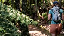 Full Day Kayak & Walk Tour-Queen Charlotte Sound & Link Pathway 