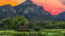 Fynbos Wine Experience A Unique Walking Tour