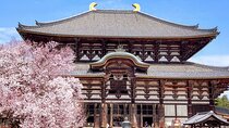 Osaka / Kyoto: Todai-ji, Nara Park, Fushimi Inari and Byodo-in