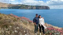 Half Day Luxury Guided Crater Rim Walk