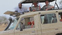Mikumi National Park Day Trip –Wildlife Safari from Dar es Salaam