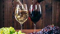 PREMIUM TOUR small group: Wine Tasting and Salt Mine experience