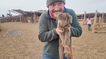  Explore Ulaanbaatar with Guided 6-Day Tour