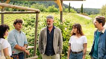 Florence & Tuscany Day Tour from Rome with Wine Tasting & Lunch